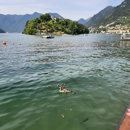 Uno Spazio Di Vibrazioni *